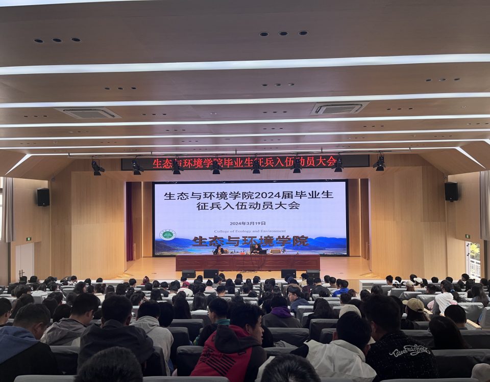 十大网络赌博网站排名