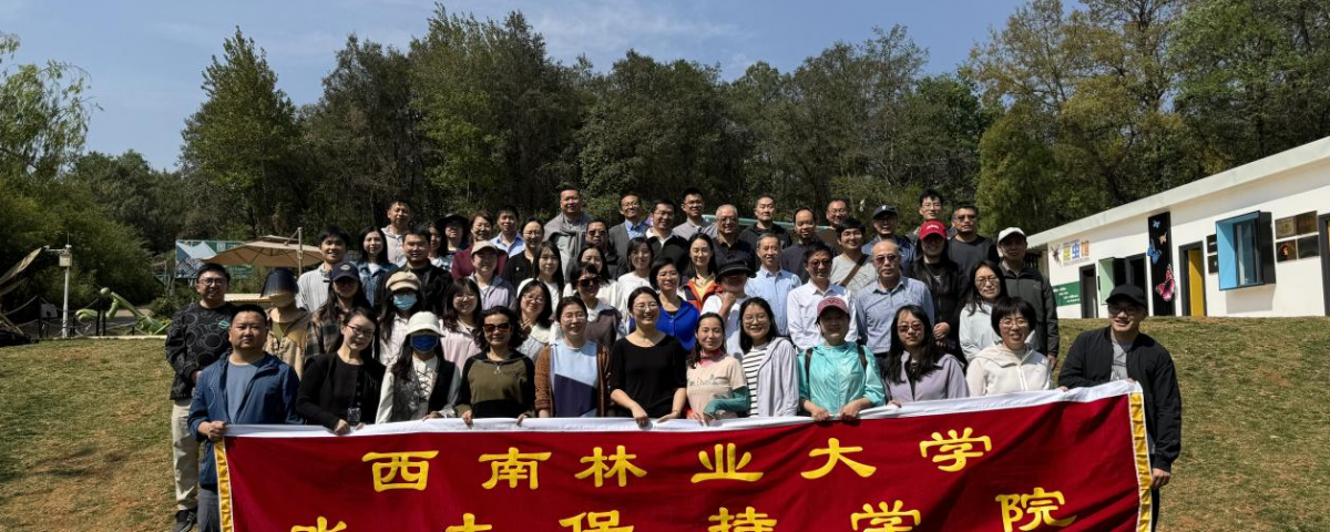 十大网络赌博网站排名