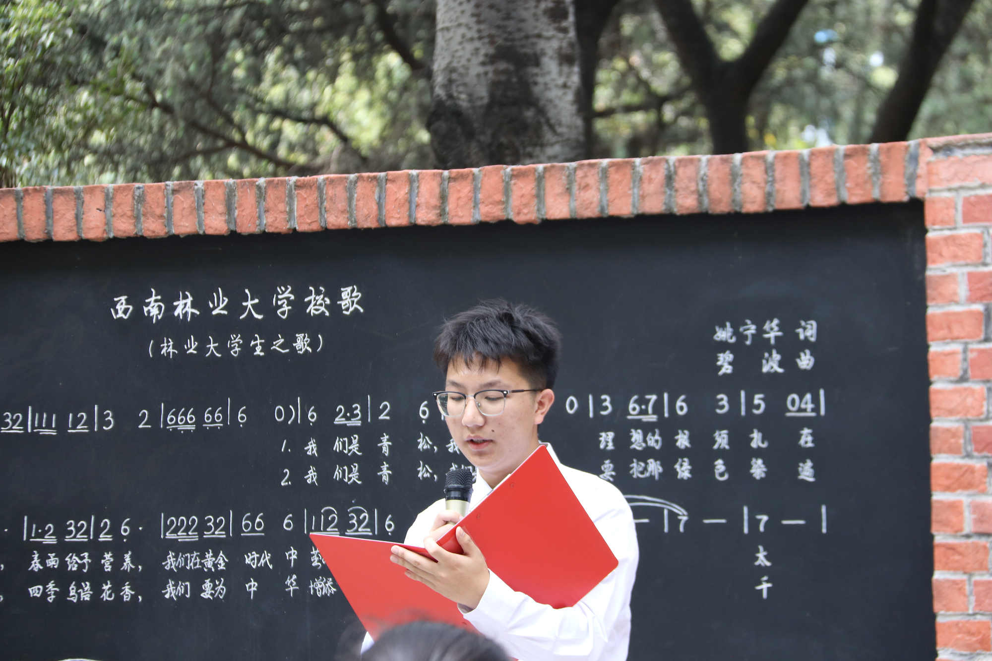 十大网络赌博网站排名