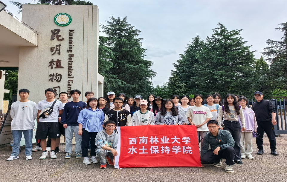 十大网络赌博网站排名