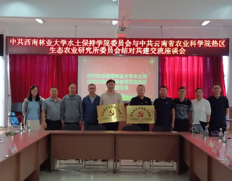 十大网络赌博网站排名