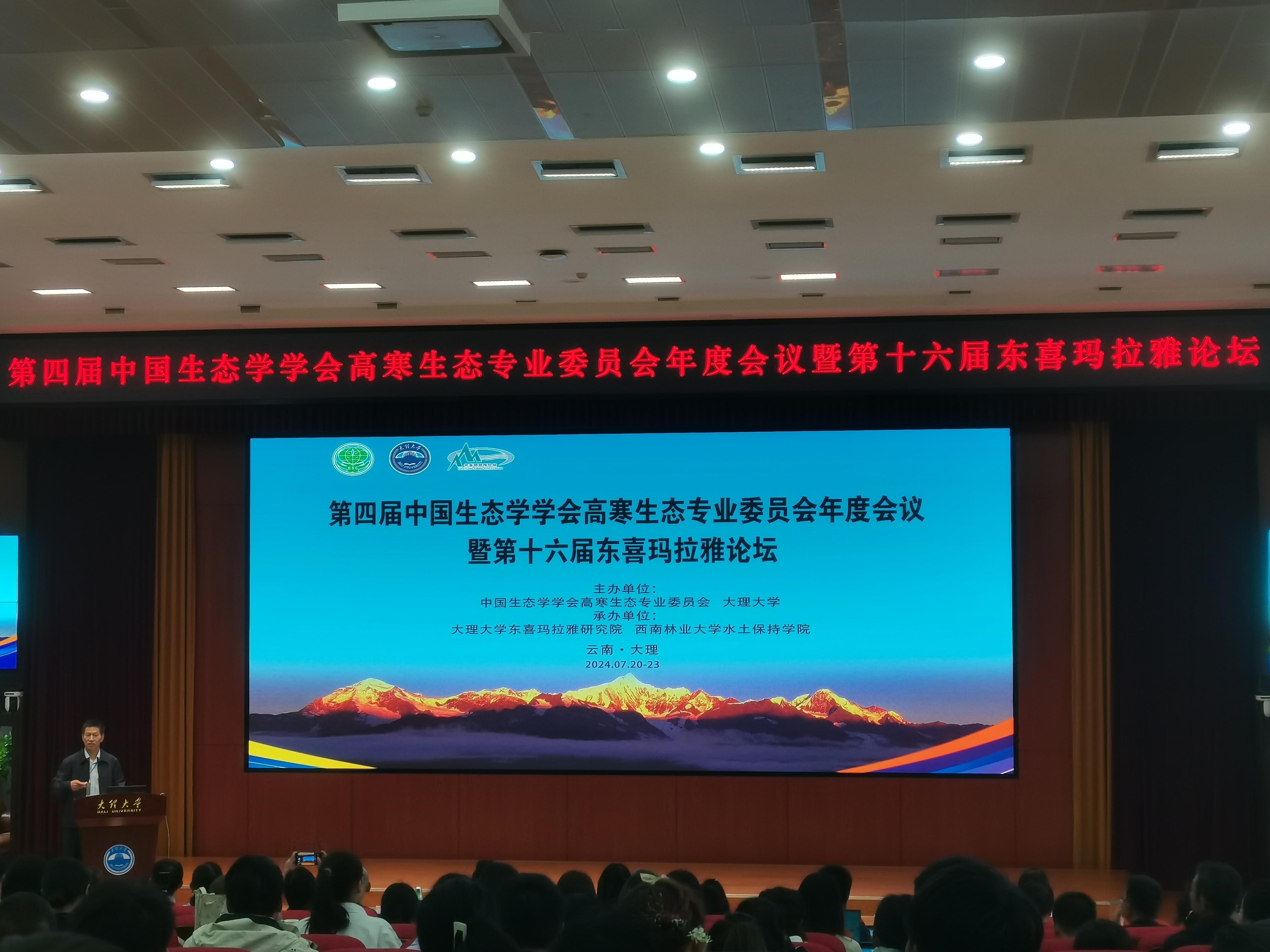 十大网络赌博网站排名
