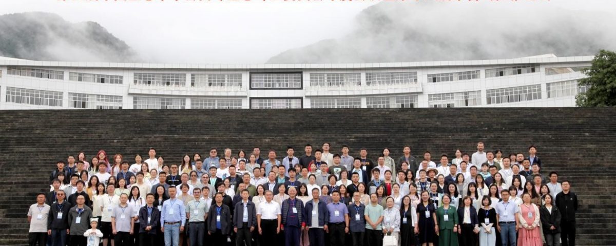十大网络赌博网站排名