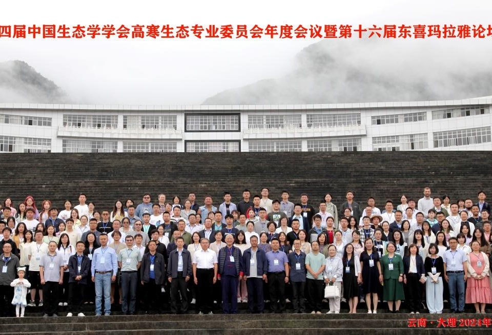十大网络赌博网站排名