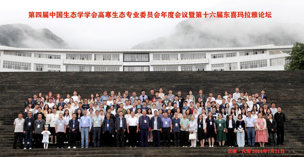 十大网络赌博网站排名