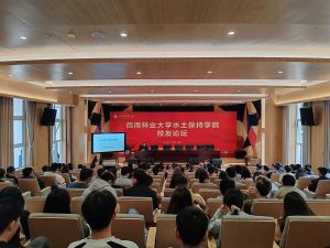 十大网络赌博网站排名