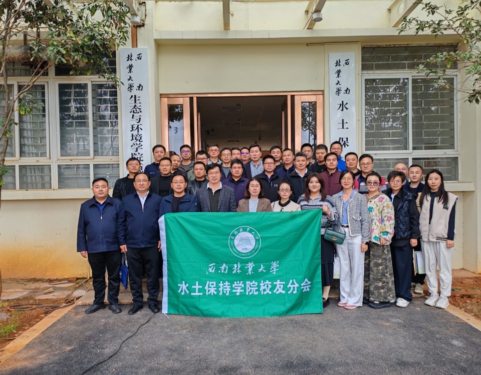 十大网络赌博网站排名