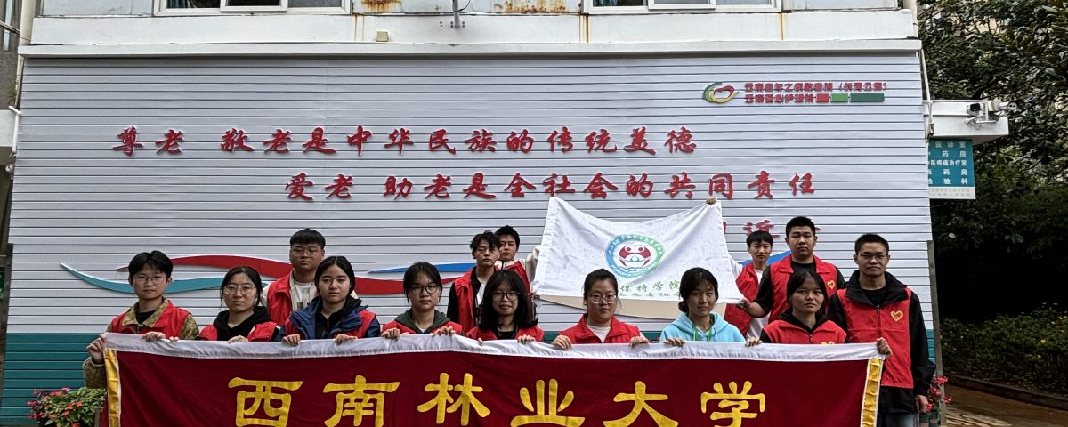 十大网络赌博网站排名