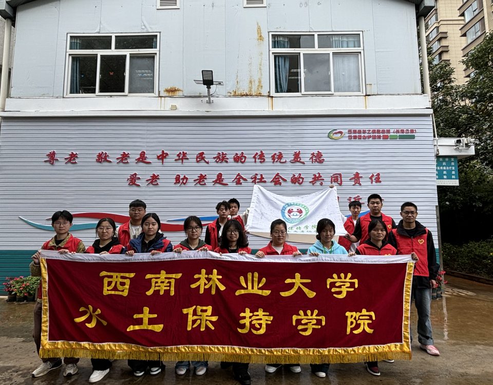 十大网络赌博网站排名
