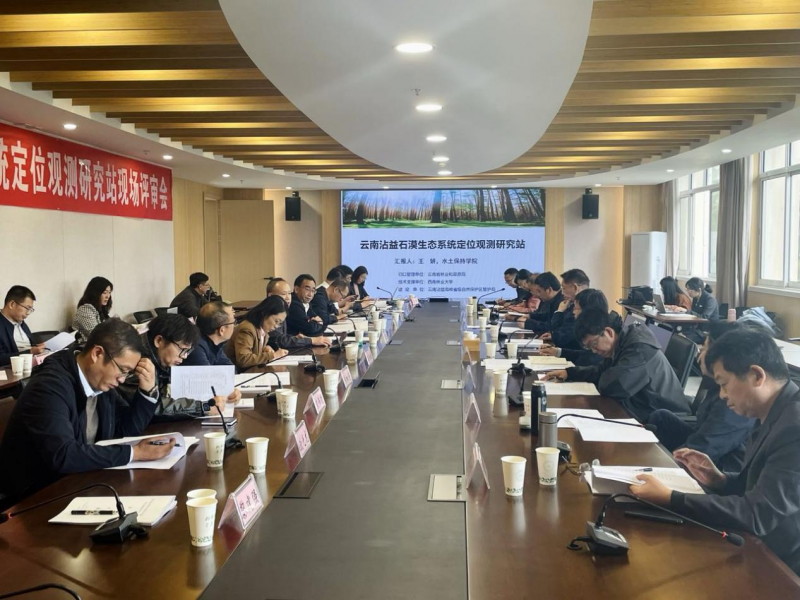 十大网络赌博网站排名
