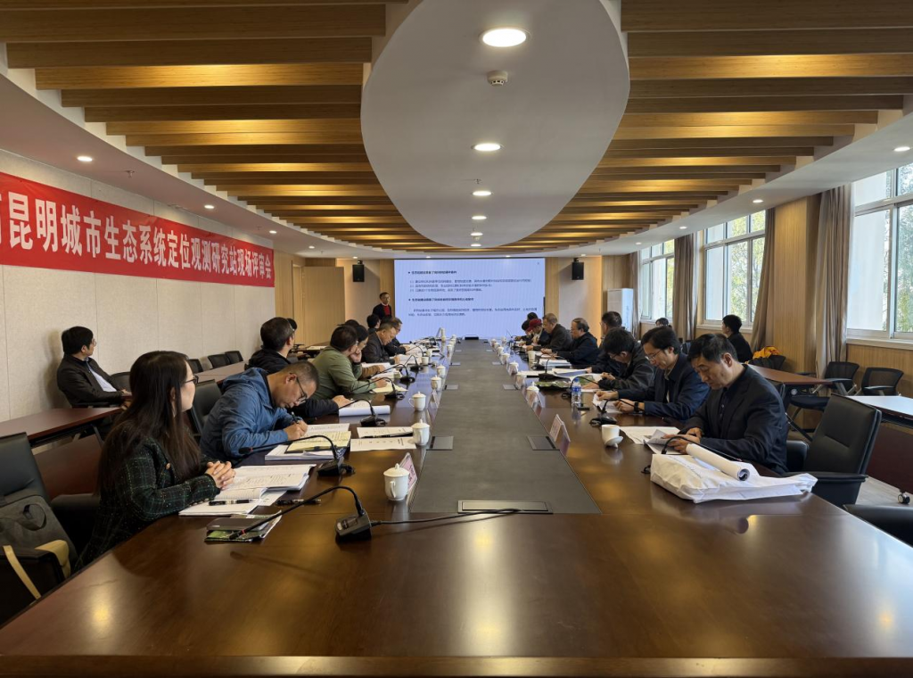 十大网络赌博网站排名