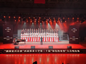 十大网络赌博网站排名