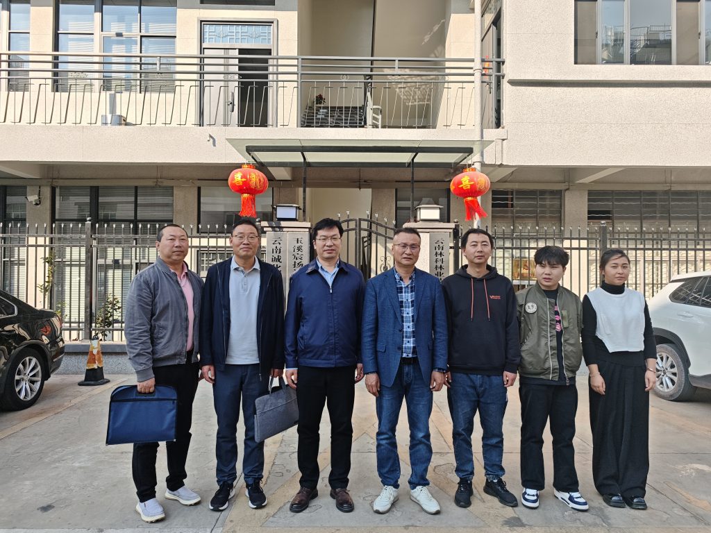 十大网络赌博网站排名