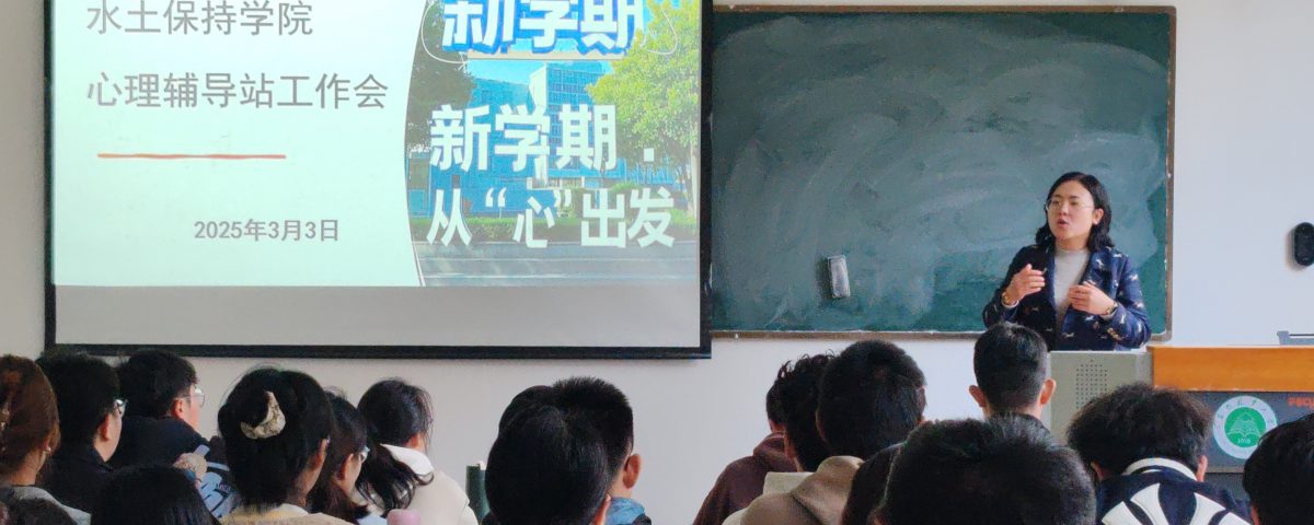 十大网络赌博网站排名