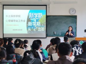 十大网络赌博网站排名