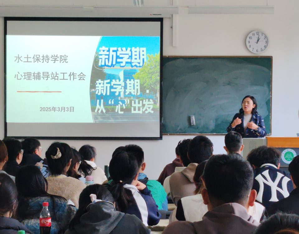十大网络赌博网站排名