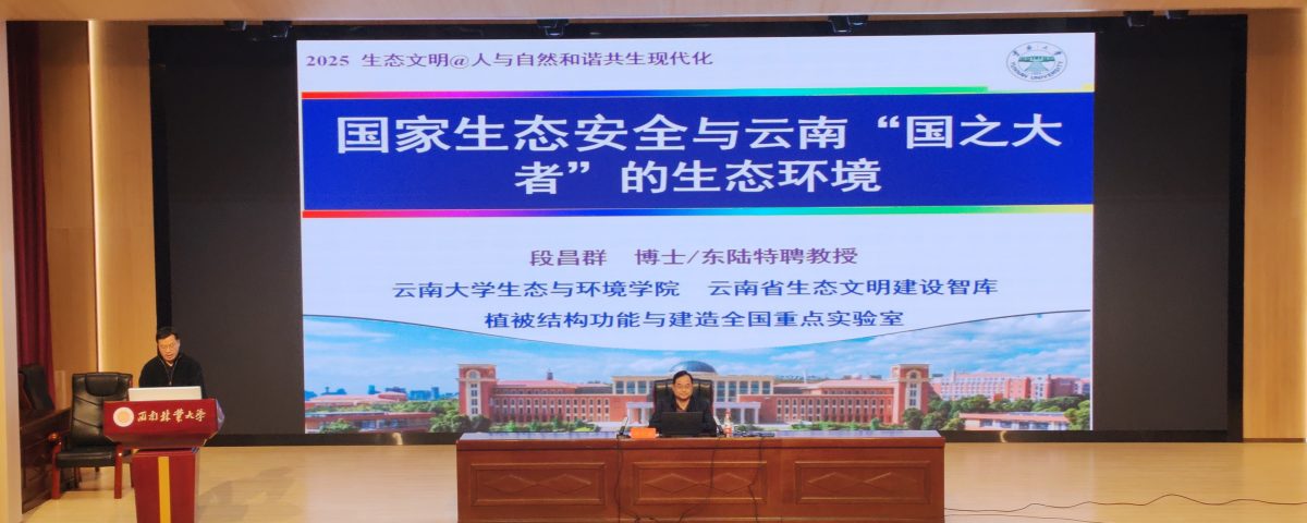 十大网络赌博网站排名