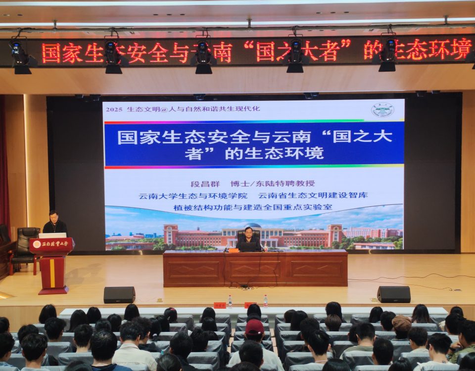 十大网络赌博网站排名